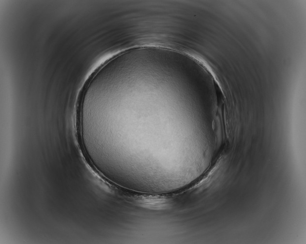 X0000088381147200705221048