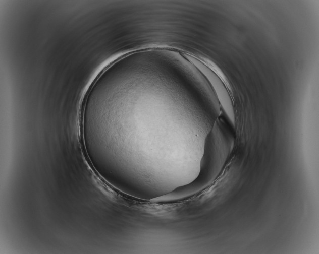 X0000088381148200705221048