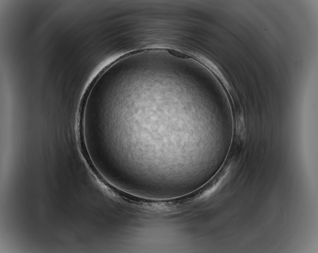 X0000088381149200705221048