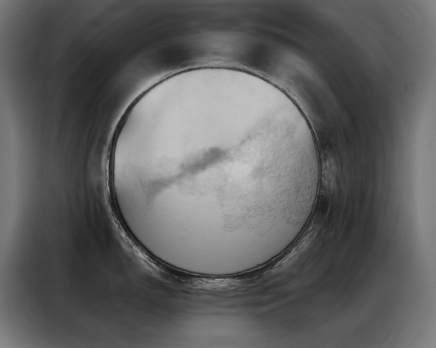 X0000088381150200705221048