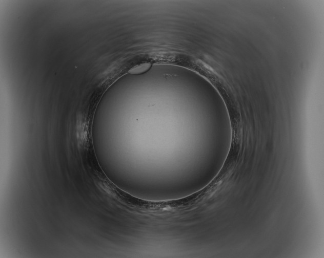 X0000088381154200705221048