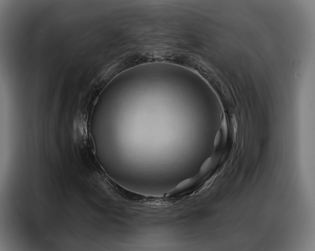 X0000088381155200705221048
