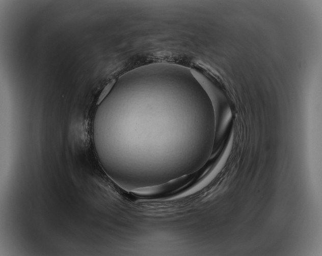 X0000088381156200705221048