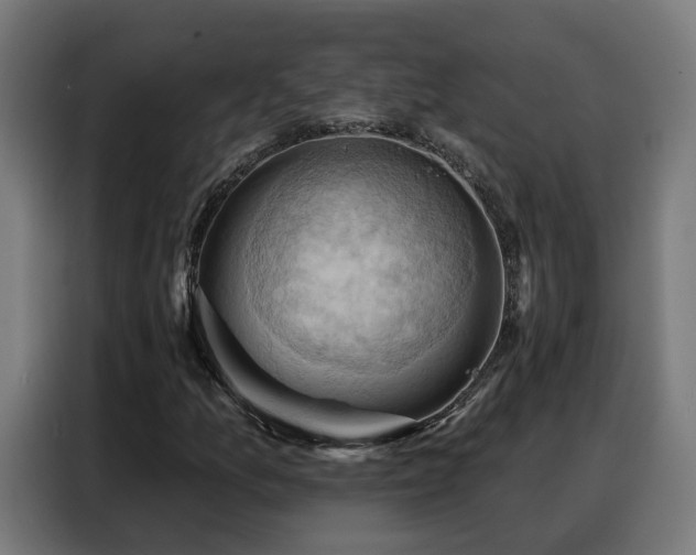 X0000088381157200705221048