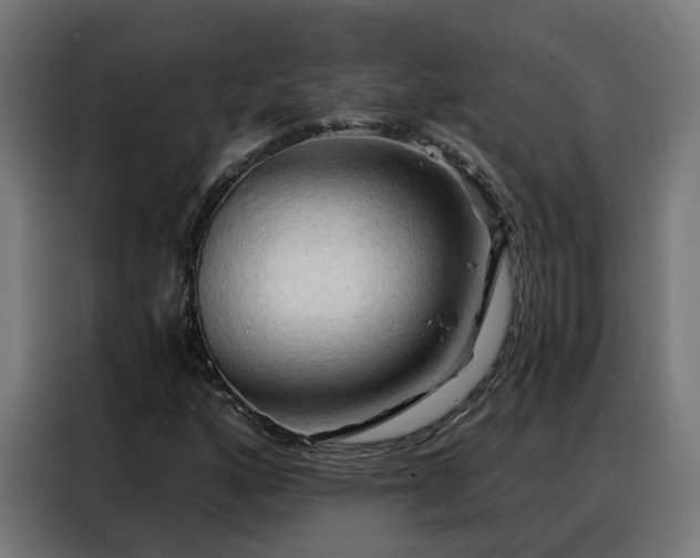 X0000088381160200705221047