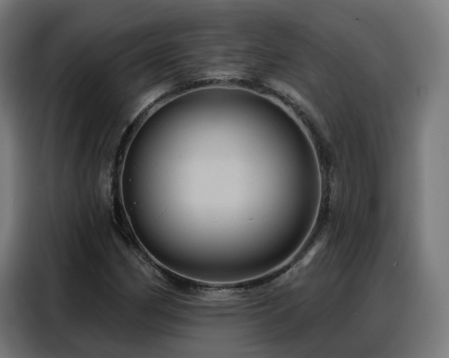 X0000088381162200705221047