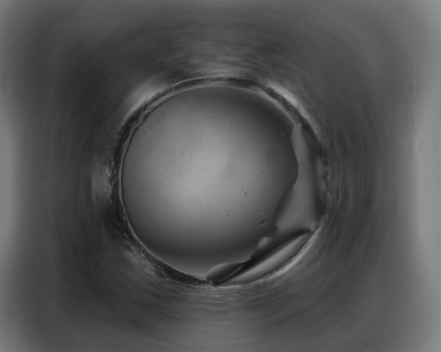 X0000088381163200705221047
