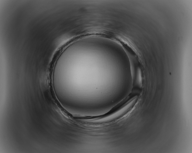 X0000088381164200705221047
