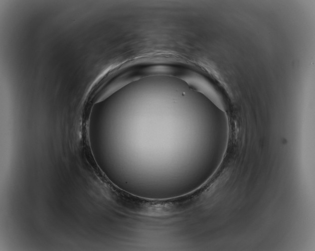 X0000088381165200705221047