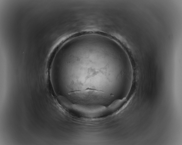 X0000088381167200705221047