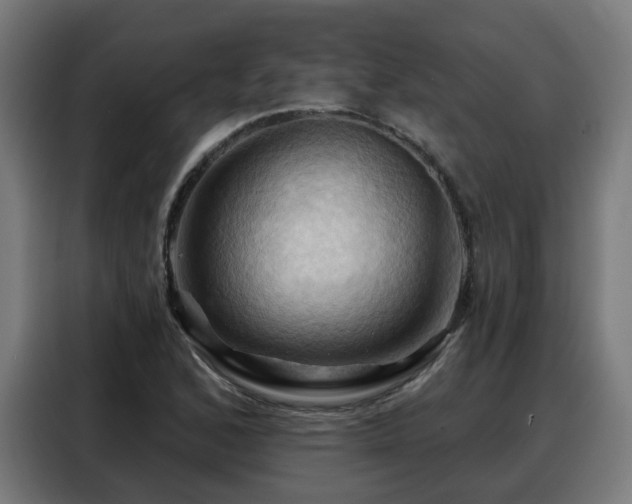 X0000088381168200705221047
