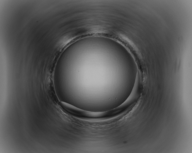 X0000088381169200705221047