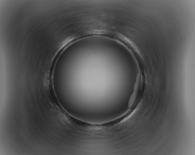X0000088381170200705221047