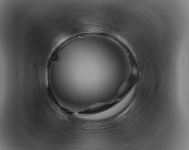 X0000088381171200705221047