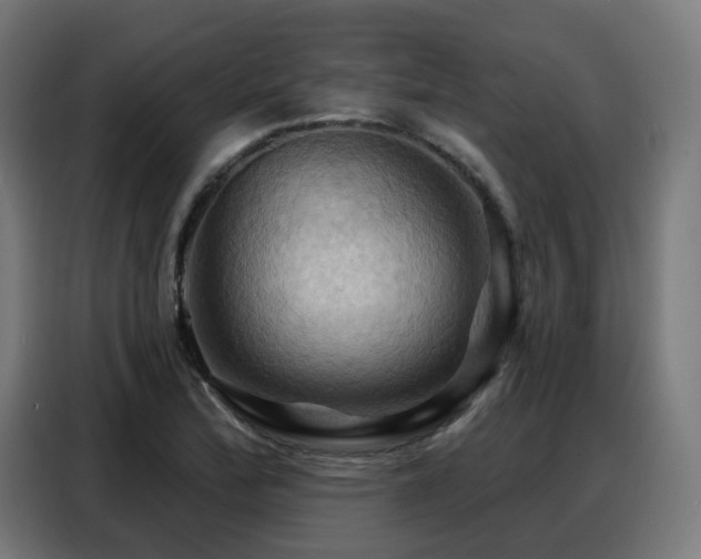 X0000088381172200705221047