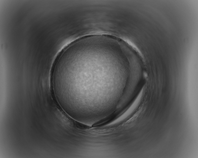 X0000088381173200705221047
