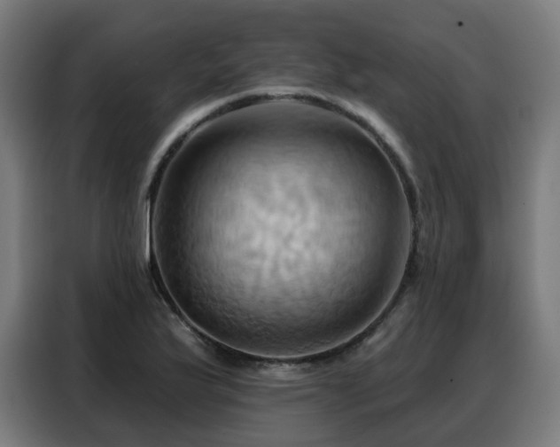 X0000088381175200705221047
