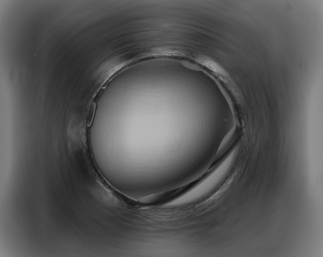 X0000088381177200705221047