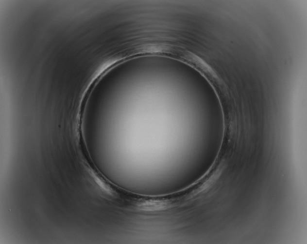 X0000088381178200705221047