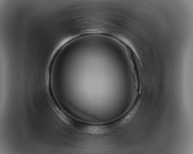 X0000088381179200705221047