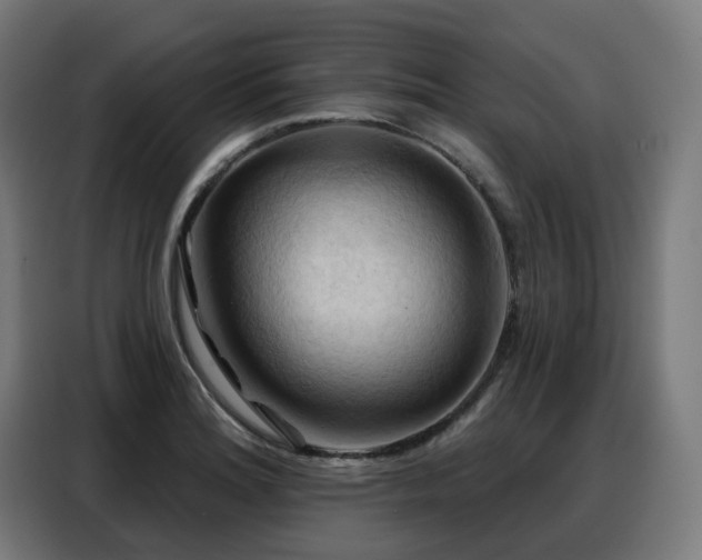 X0000088381180200705221047