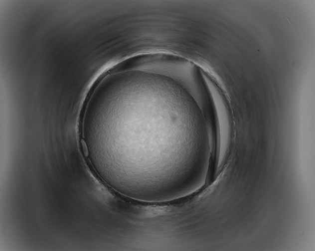 X0000088381181200705221047