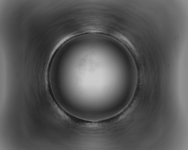 X0000088381182200705221047