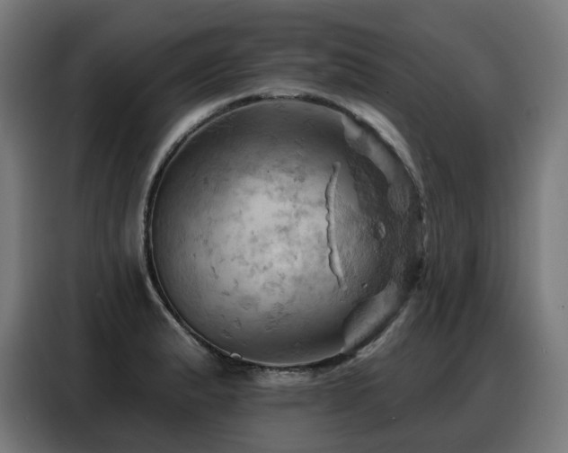 X0000088381183200705221047
