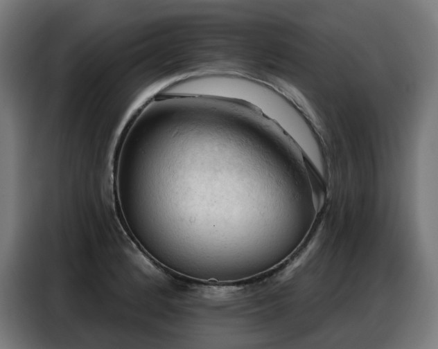 X0000088381184200705221047