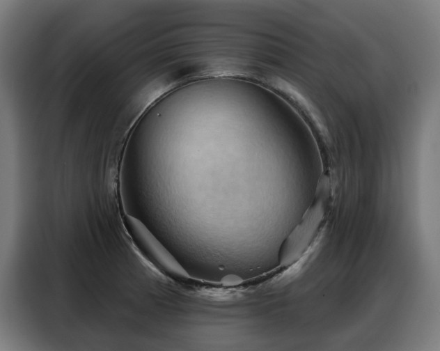 X0000088381185200705221047