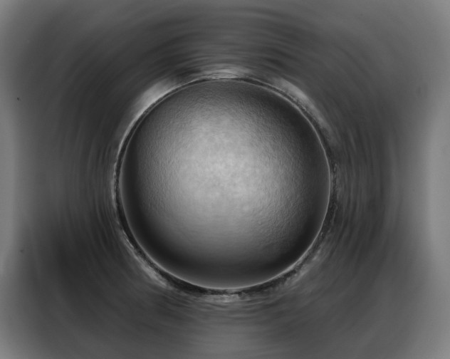 X0000088381186200705221047