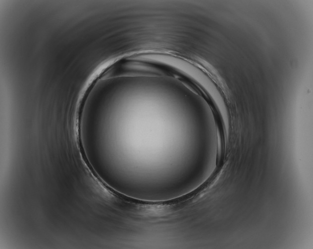 X0000088381188200705221047
