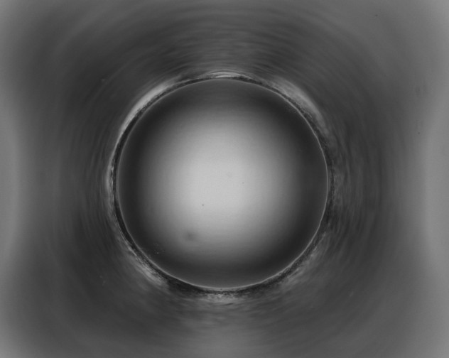 X0000088381190200705221047