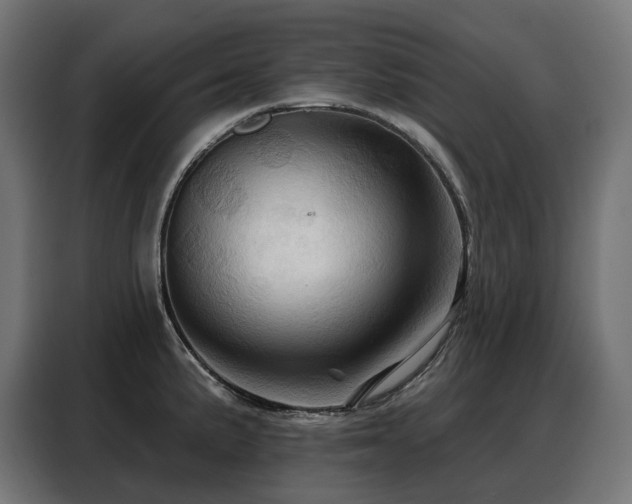 X0000088381191200705221047