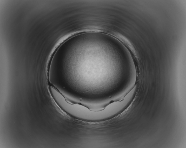X0000088381192200705221047