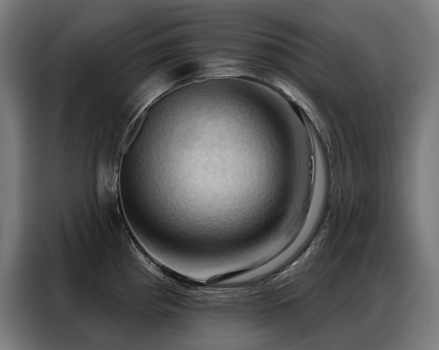 X0000088381193200705221047