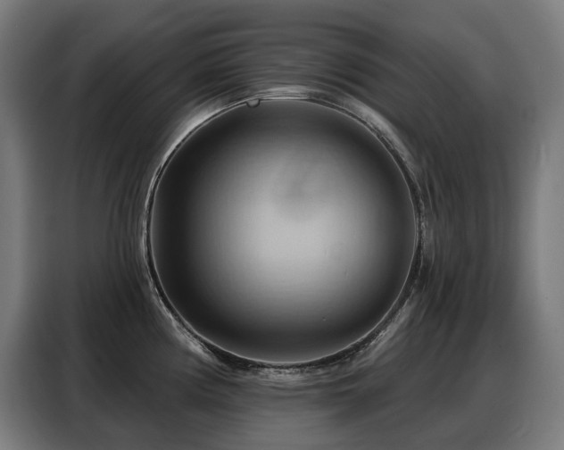 X0000088381194200705221047