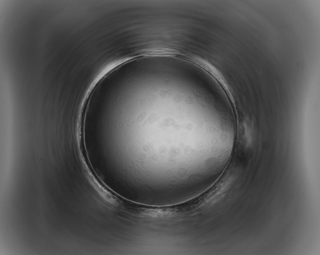X0000088381195200705221047