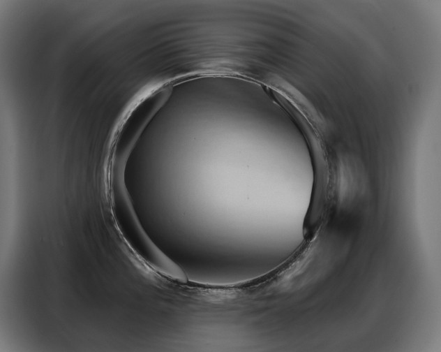 X0000088381196200705221047