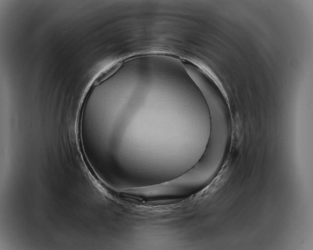 X0000088381197200705221047