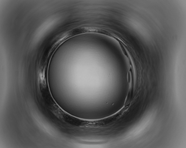 X0000088381198200705221047
