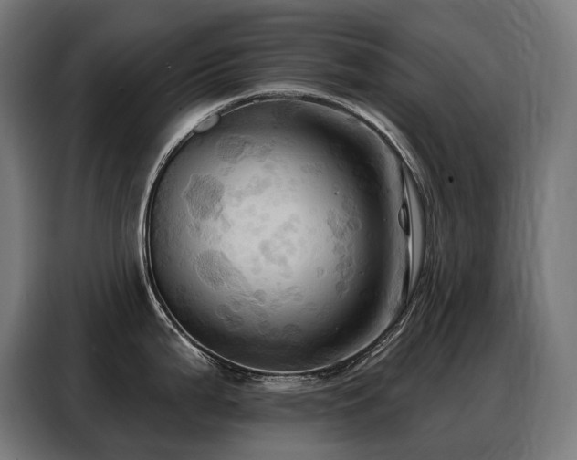 X0000088381199200705221047