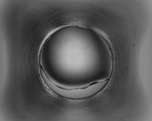 X0000088381200200705221047