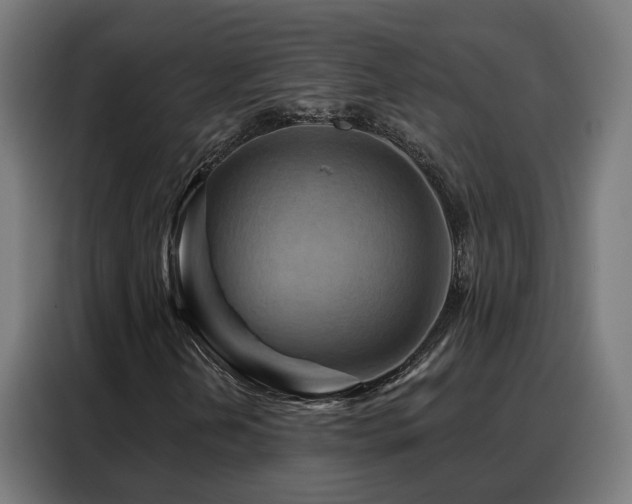 X0000088381202200705221046
