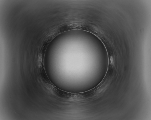 X0000088381203200705221046