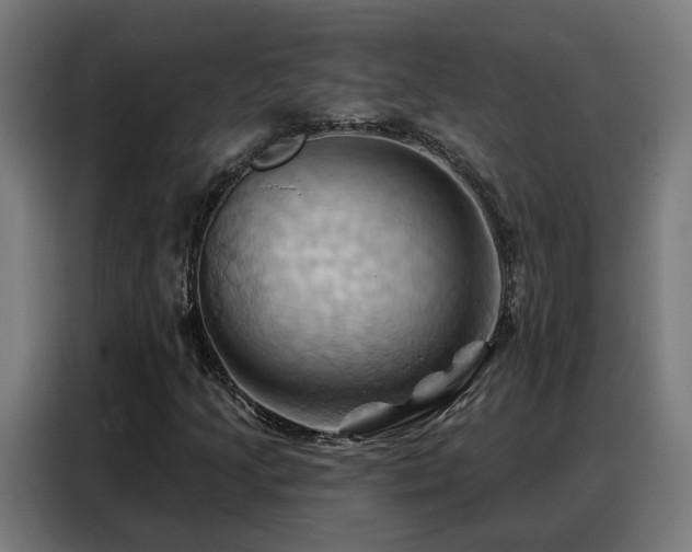 X0000088381205200705221046