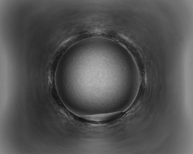 X0000088381206200705221046