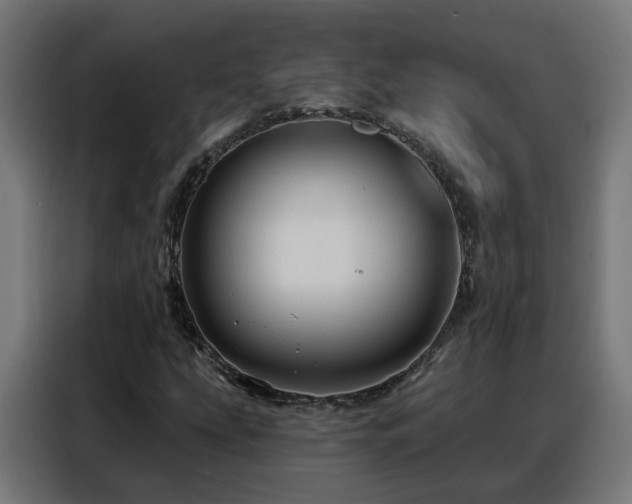 X0000088381207200705221046