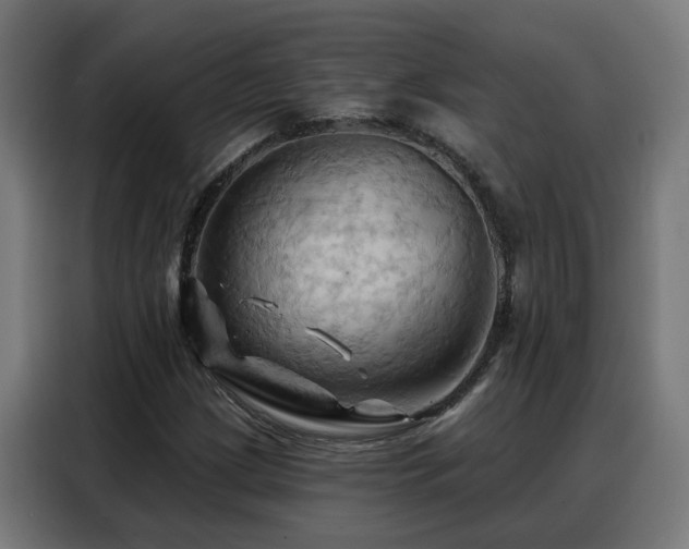 X0000088381209200705221046