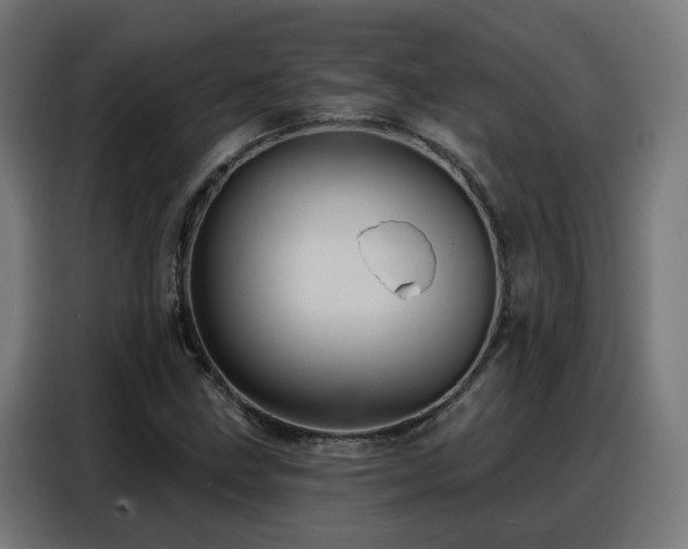 X0000088381211200705221046
